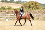 SBM_003535