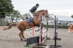 North Showjumping_2016-71