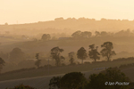 Misty sunset over County Down Hills