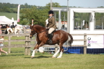 SBM_09584