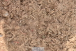 230810A-140238-01247