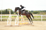 SBM_006316