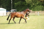 SBM_10419