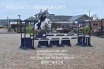 CLASS 16 SUN Pony Discovery / 90cm Open portfolio