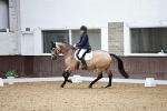 SBM_014164