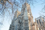 IMG_ SNOWY GOLDEN  DAWN YORK MINSTER 8799 copy