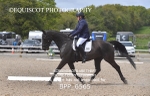 BPP_6565