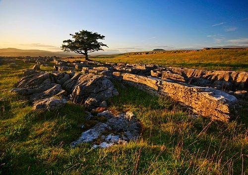 [align=center][size=11][b]The Limestone Pavement, Yorkshire Dales[/b][/size]

There is a rather funny story behind…