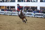 SBM_004975