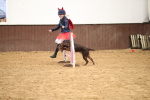 SBM_001291