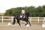 SBM_003722
