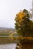 Loch an Eilein in Autumn, 2