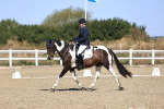 SBM_013221