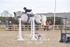 BPP_0890