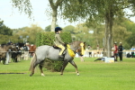 SBM_44852
