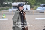 BPP_0313