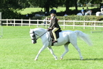 SBM_50302