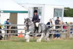 SBM_17161