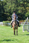Class 2: Open Working Hunter pony portfolio