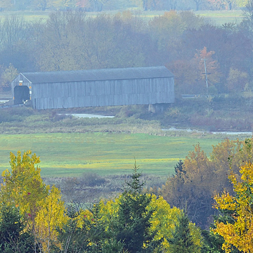 The Covered Bridge @ Bloomfield surrounded by autumn color.