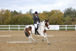 SBM_002645