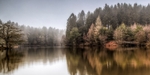 Misty Mallards Pike