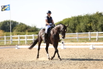SBM_007534