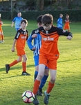 Wattsfield v Esthwaite Vale portfolio