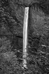Latourell Fall
