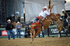 3HRodeo_PBR_All-Star_JUL_2026_0207