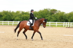 SBM_006576