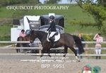 BPP_5951