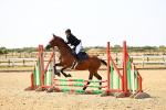 SBM_000799