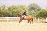 SBM_002055