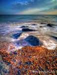 Adur Valley & Shoreham-by-sea portfolio