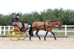 SBM_000398
