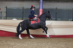 SBM_13660