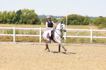 SBM_002320
