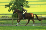 SBM_56464