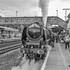 46233 Totnes 07 08 16