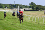 080726-Race 5-Sugarpiehoneybunch-7538