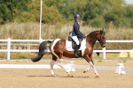 SBM_000391