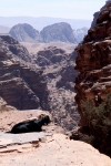Petra 156