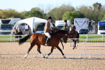 SBM_08836