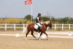 SBM_004309