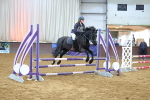 SBM_001931