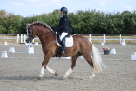 SBM_020258