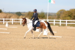 SBM_001539