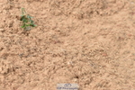 230810A-095656-00174