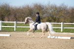 SBM_004788